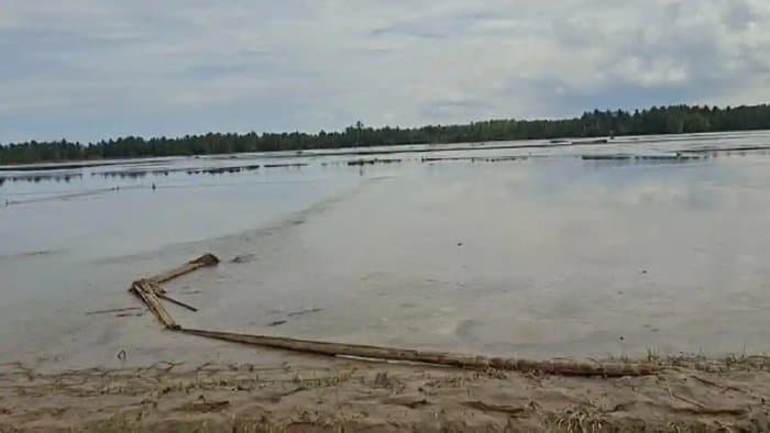 
						 Bikin Pangling! Lumpur Tebal Ubah Sawah di Bireuen Seperti Lapangan Terbang 
					