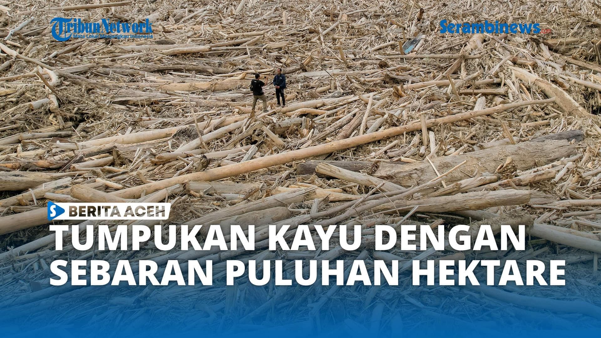 Tumpukan Kayu Banjir 5 Meter di Aceh Tamiang Belum Dievakuasi