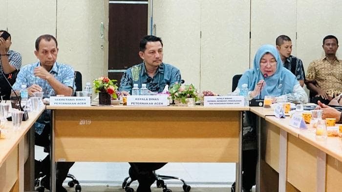 Dinas Peternakan Aceh Strategi Stabilkan Harga Ayam dan Telur