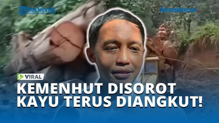 VIDEO - Heboh! Wanita Ini Pertanyakan Kinerja Kemenhut soal Tumpukan Kayu Besar yang Terus Diangkut