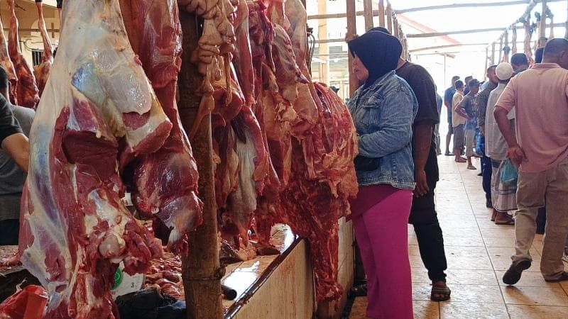 1.455 Sapi Meugang Dibagikan ke Aceh Utara, Korban Banjir Dibantu