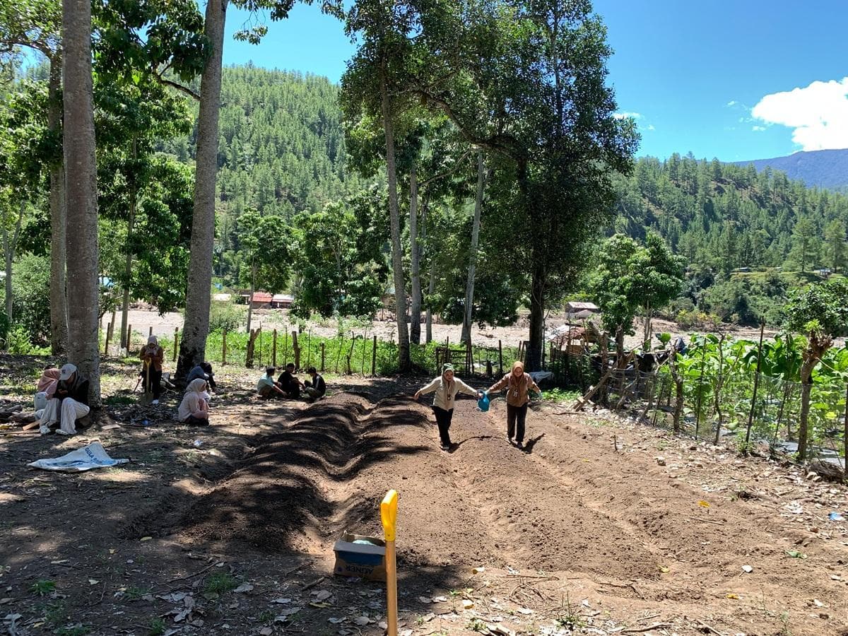 Mahasiswa USK Gayo Lues Bantu Petani Bangun Demplot Tanaman Cepat Panen