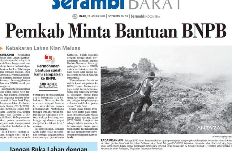 Kebakaran Lahan di Aceh Barat Meluas, Pemkab Minta Bantuan BNPB