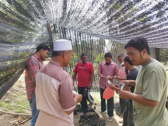 Mahasiswa Umuslim Bantu Warga Bireuen Tanam Padi di Polybag dari Sedimen Banjir