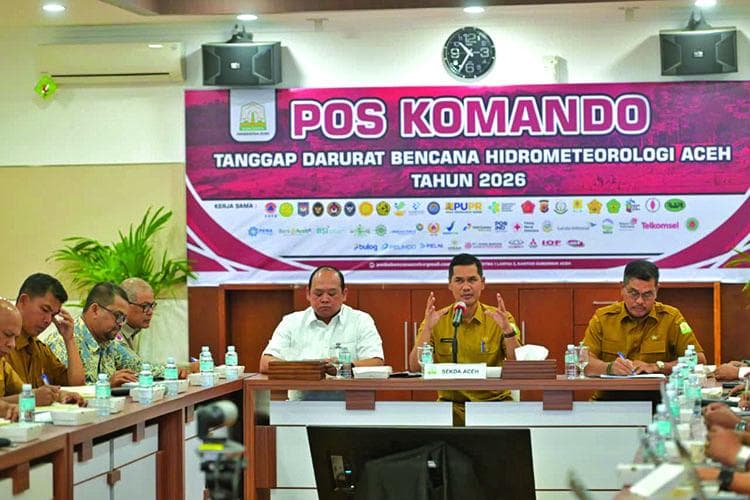 Pemerintah Aceh Bentuk Tim Khusus Pemanfaatkan Kayu Bekas Banjir