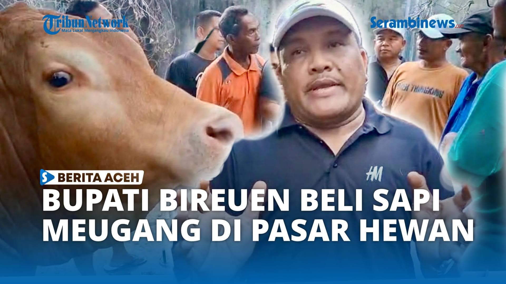 Bupati Bireuen Beli Lembu Meugang untuk Warga Korban Banjir dengan Dana Prabowo