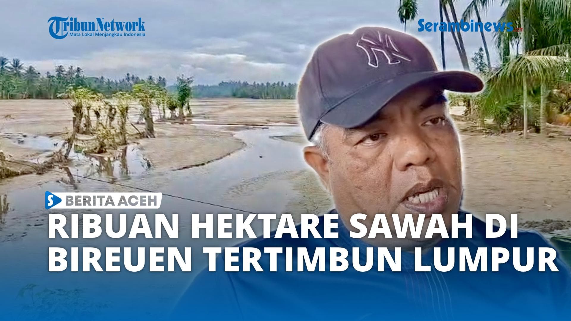 VIDEO - Ribuan Hektar Sawah di Bireuen Tertimbun Lumpur, Irigasi Rusak