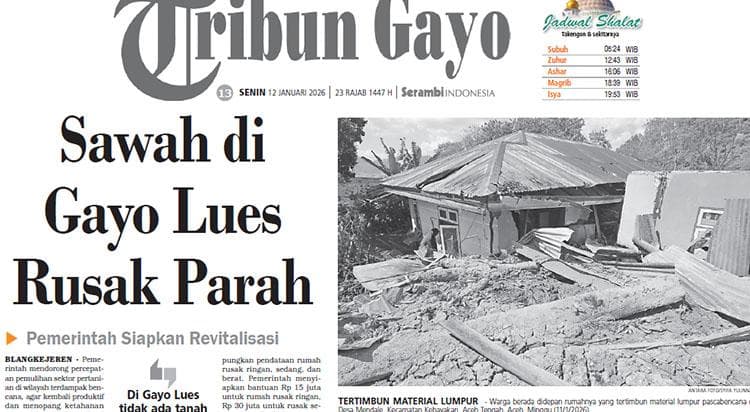 Revitalisasi Sawah Gayo Lues: Pemerintah Siapkan Rp 25 Miliar untuk Lahan Warga