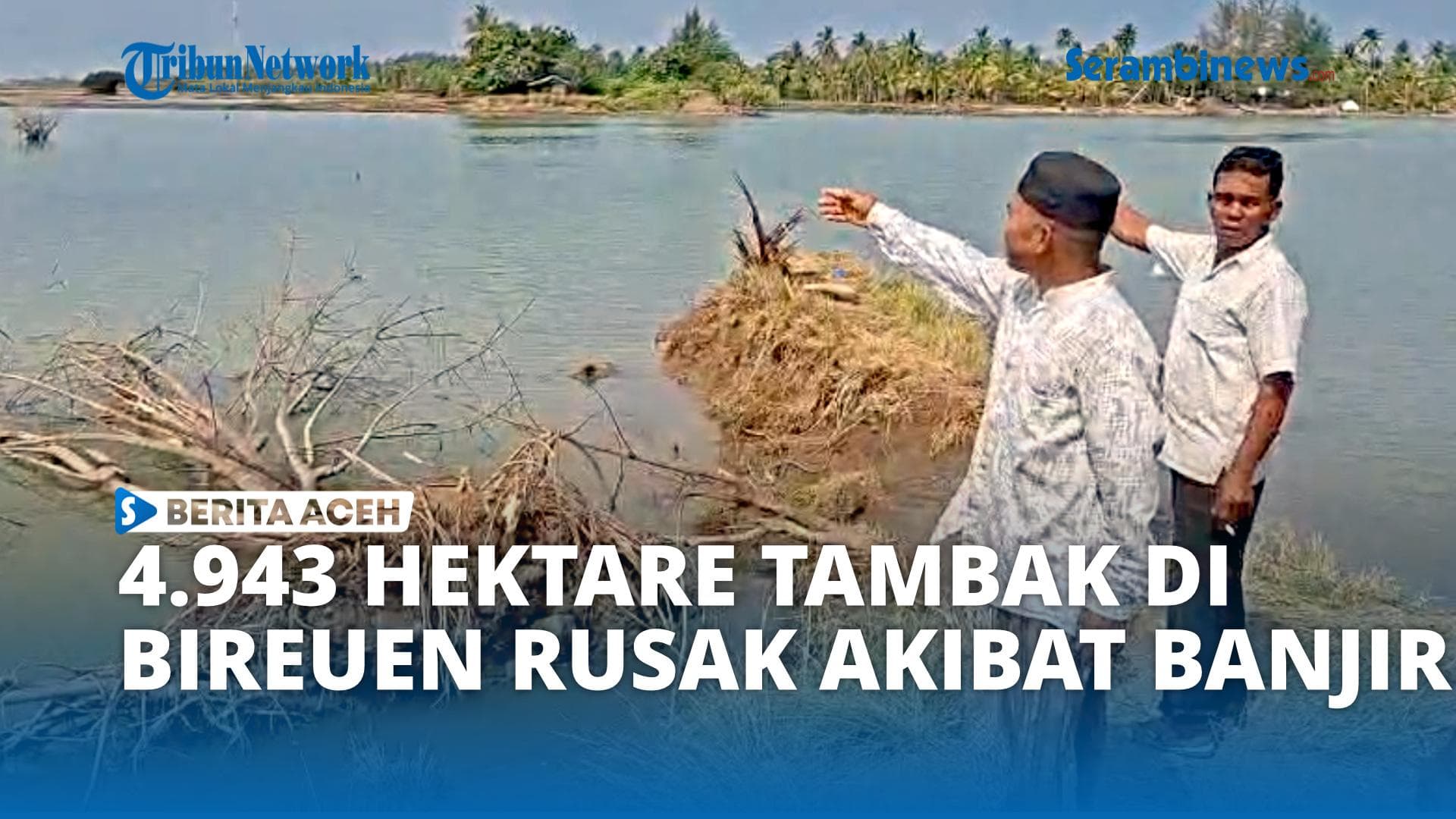 4.700 Pelaku Usaha Perikanan di Bireuen Terdampak Banjir, 4.943 Hektar Tambak Rusak