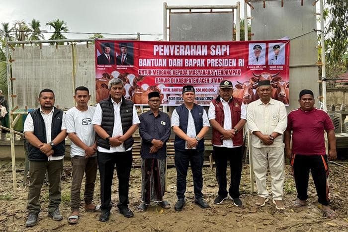 Bupati Aceh Utara Bagikan 1.109 Sapi untuk 852 Gampong Terdampak Banjir