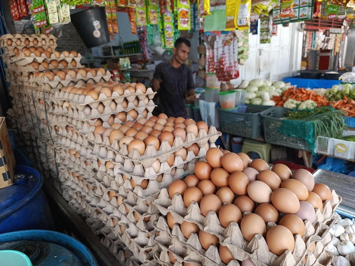 Harga Bahan Pokok di Pasar Blangpidie Stabil, Cabai Rawit Turun Rp20 Ribu
