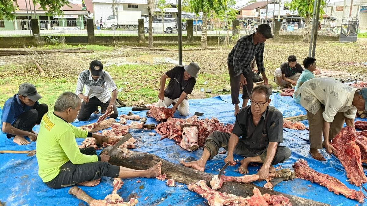 Bantuan Daging Meugang Presiden di Pidie Disorot, Warga Kecewa