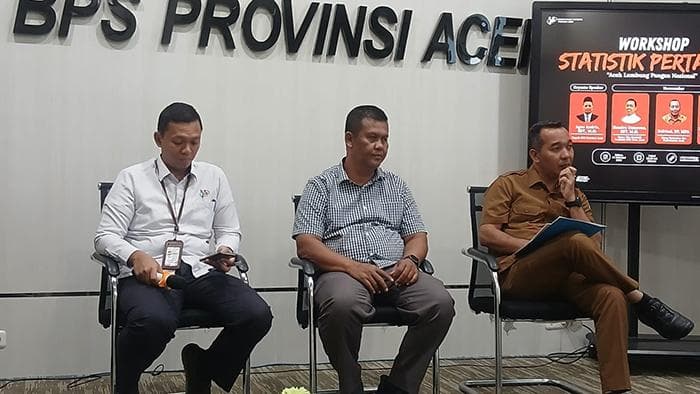 Produksi Padi Aceh Turun 2025, Dampak Bencana dan Alih Fungsi Lahan