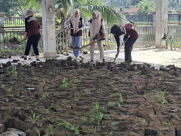 Mahasiswa UMMAH Bireuen Bersihkan Kantor Camat dan Rumah Warga dari Lumpur