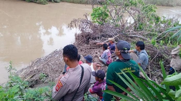 Buaya Serang Petani di Aceh Timur, Satu Korban Hilang Diterkam