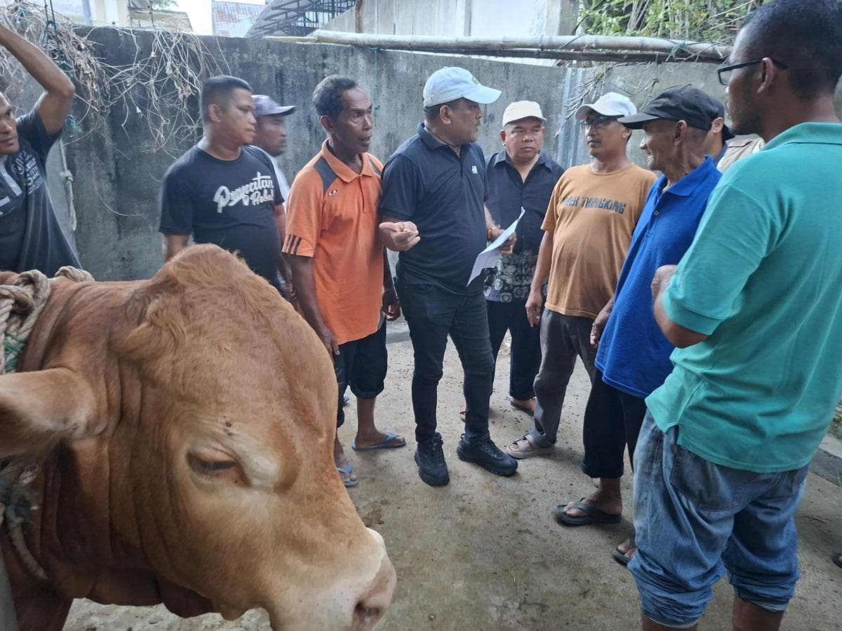 Bupati Bireuen Beli Lembu Bantuan Presiden untuk Korban Banjir