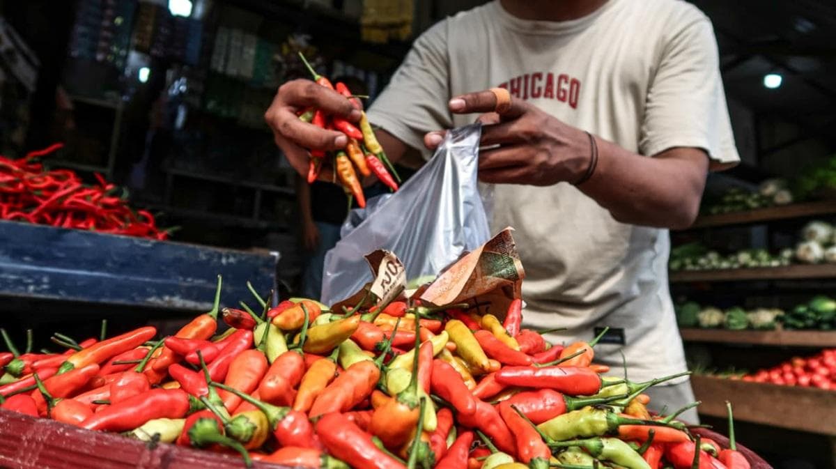 Harga Cabai Meroket di Aceh Tamiang, Warga Khawatir Daya Beli Merosot