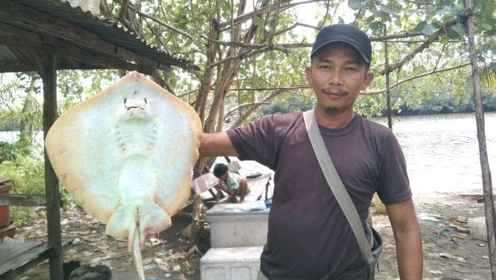 Nelayan Aceh Singkil Terkena Dampak Banjir, Pendapatan Anjlok dan Harga Ikan Naik