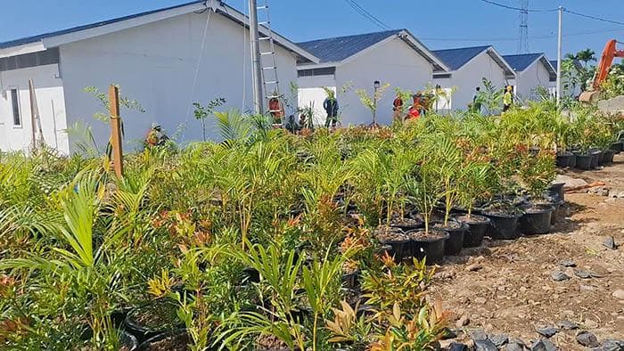 Huntara di Kantor Bupati Pijay Siap Ditempati, Fasilitas Lengkap untuk Korban Banjir