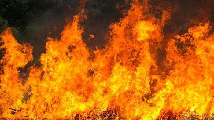 Kebakaran di Aceh Barat Menewaskan Teti Marlina, 3 Rumah Terbakar