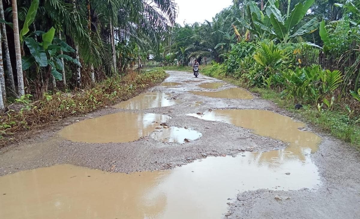 Warga Pucuk Lembang Aceh Selatan Terisolasi Akibat Jalan Rusak