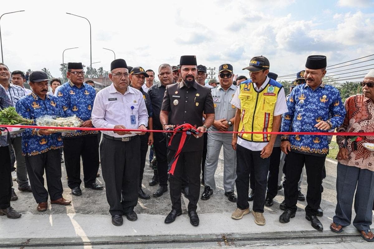 Jembatan Peureulak Aceh Timur Kembali Beroperasi, Transformasi Kota Dimulai