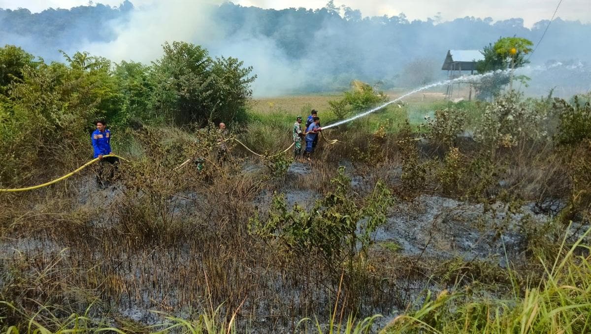 Pemkab Aceh Jaya Edarkan Surat Cegah Karhutla Jelang Musim Kemarau