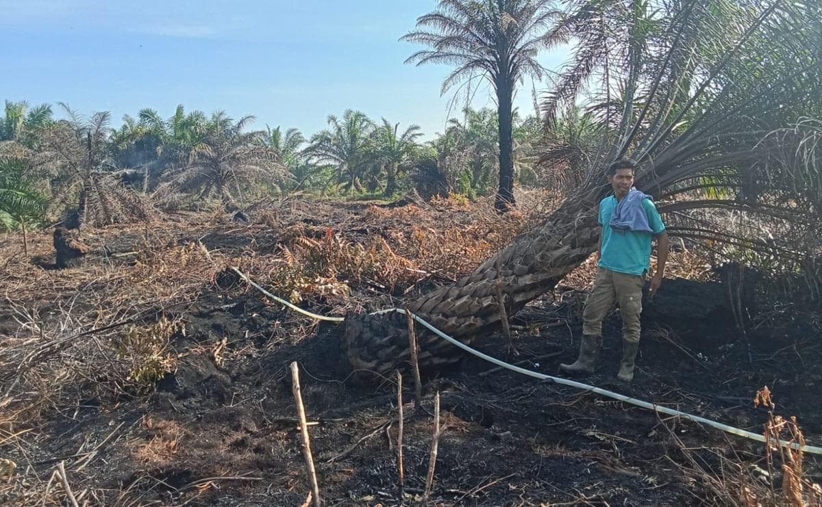 Hujan Padamkan Karhutla di Nagan Raya, Aceh Jaya Siap Hadapi Bencana