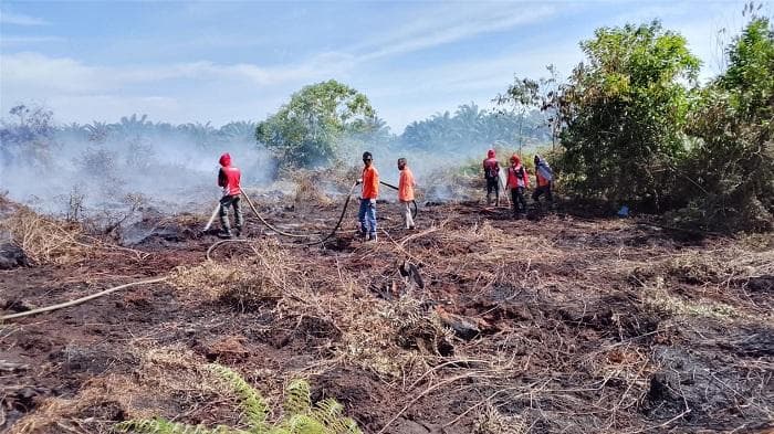 Karhutla di Nagan Raya: 1,5 Hektare Lahan Sawit Warga Terbakar