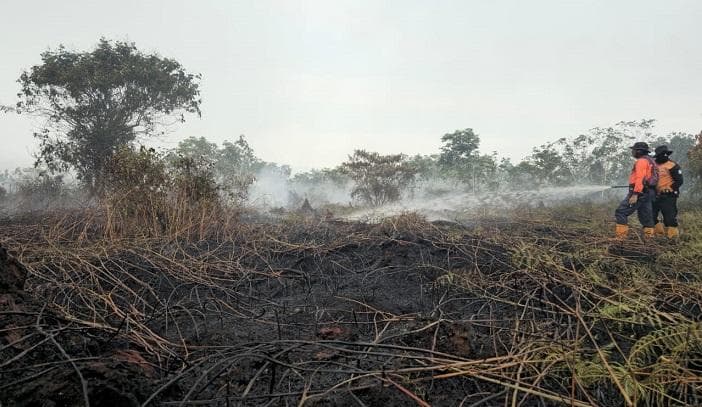 Karhutla di Aceh Barat Terjang 1,5 Hektare, Warga Lapang Terancam Asap