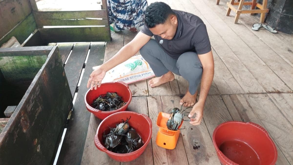 Musim Pasang Besar, Warga Aceh Singkil Berburu Kepiting di Danau Anak Laut