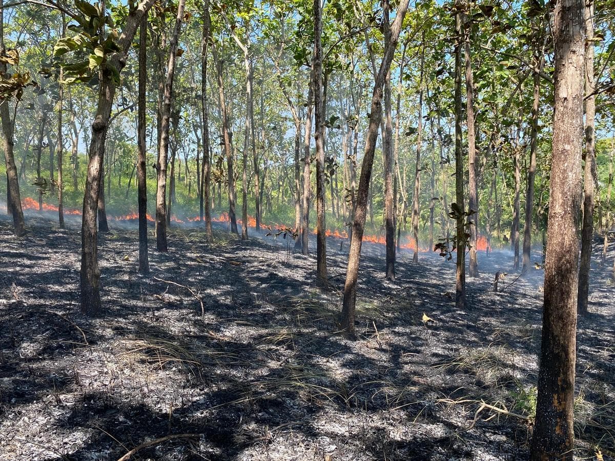 Kebakaran Lahan di Lhok Kumbang, Lhokseumawe: Api Mendekati Rumah Warga
