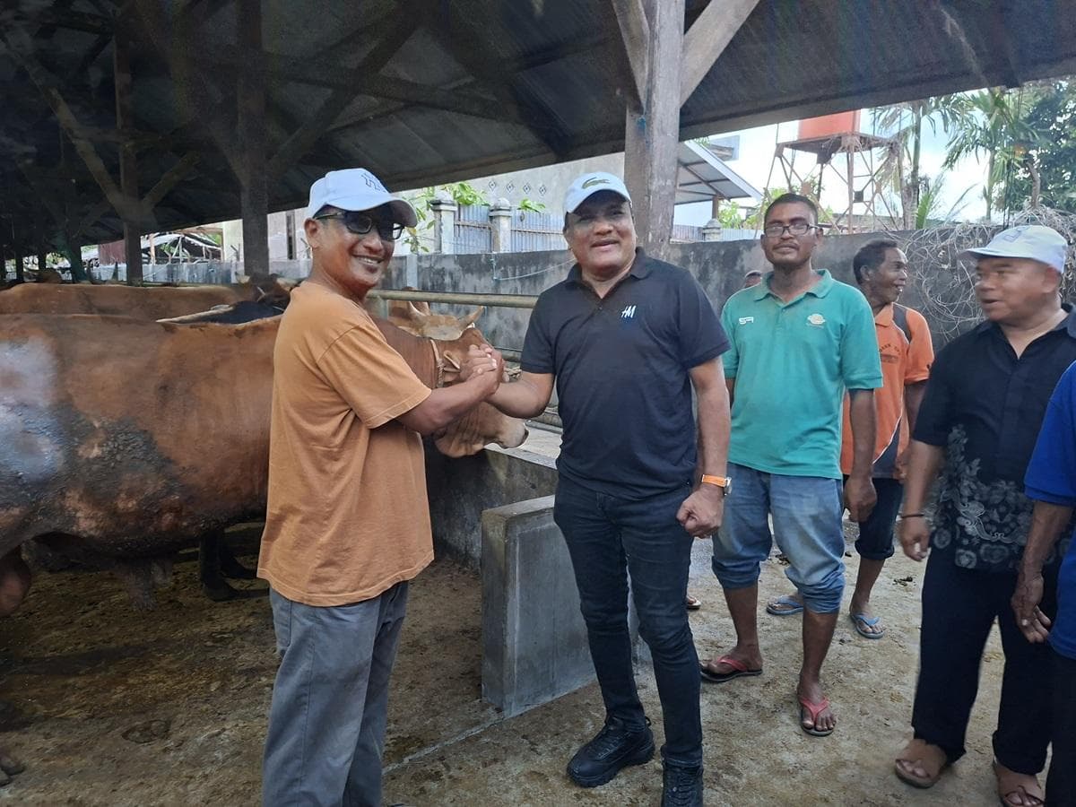 Bupati Bireuen Beli 90 Lembu Meugang untuk 10 Kecamatan Terdampak Banjir