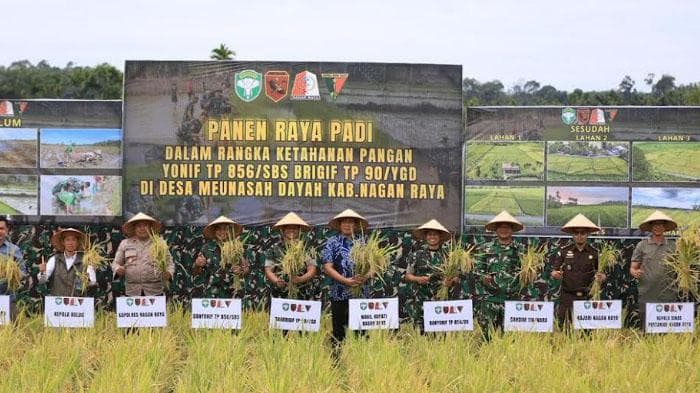 Yonif TP 856/SBS Panen Raya Padi di Nagan Raya, Lahan 5 Hektare Berhasil