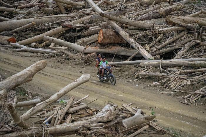 300 Kayu Gelondongan di Aceh Utara Dipilah untuk Huntara Warga