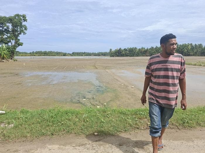 Pascabanjir, Petani Jambo Kajeung Bireuen Butuh Pompa Air Agar Bisa Kembali Menanam Padi