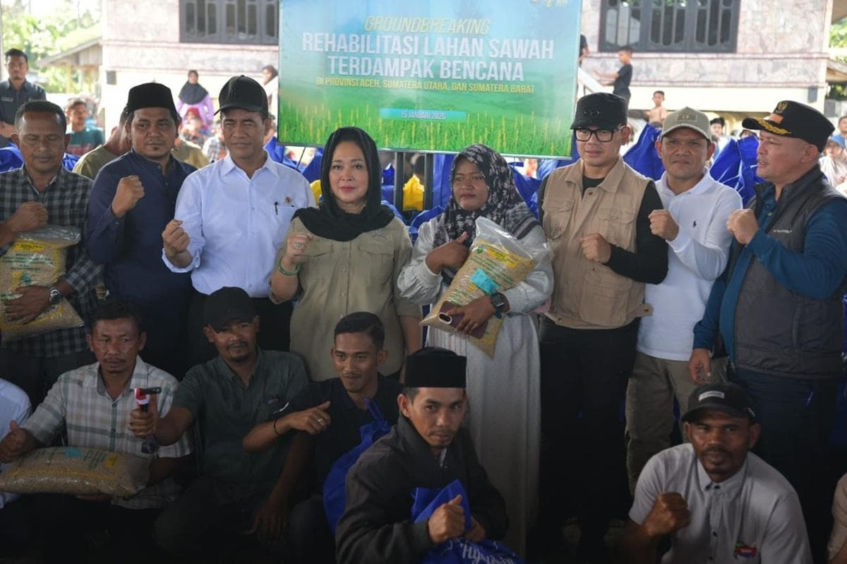 Rehabilitasi Sawah Aceh Utara Dimulai, Petani Dapat Penghasilan Selama Pemulihan