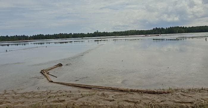2.765 hektare lahan pertanian Aceh Tengah rusak akibat banjir dan longsor