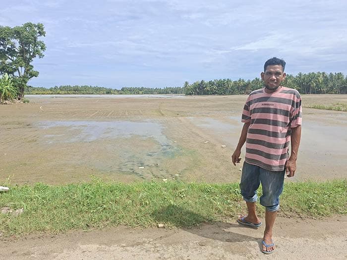 Sawah Bireuen Rusak Banjir, Pemerintah Segera Perbaiki 4.731 Hektar