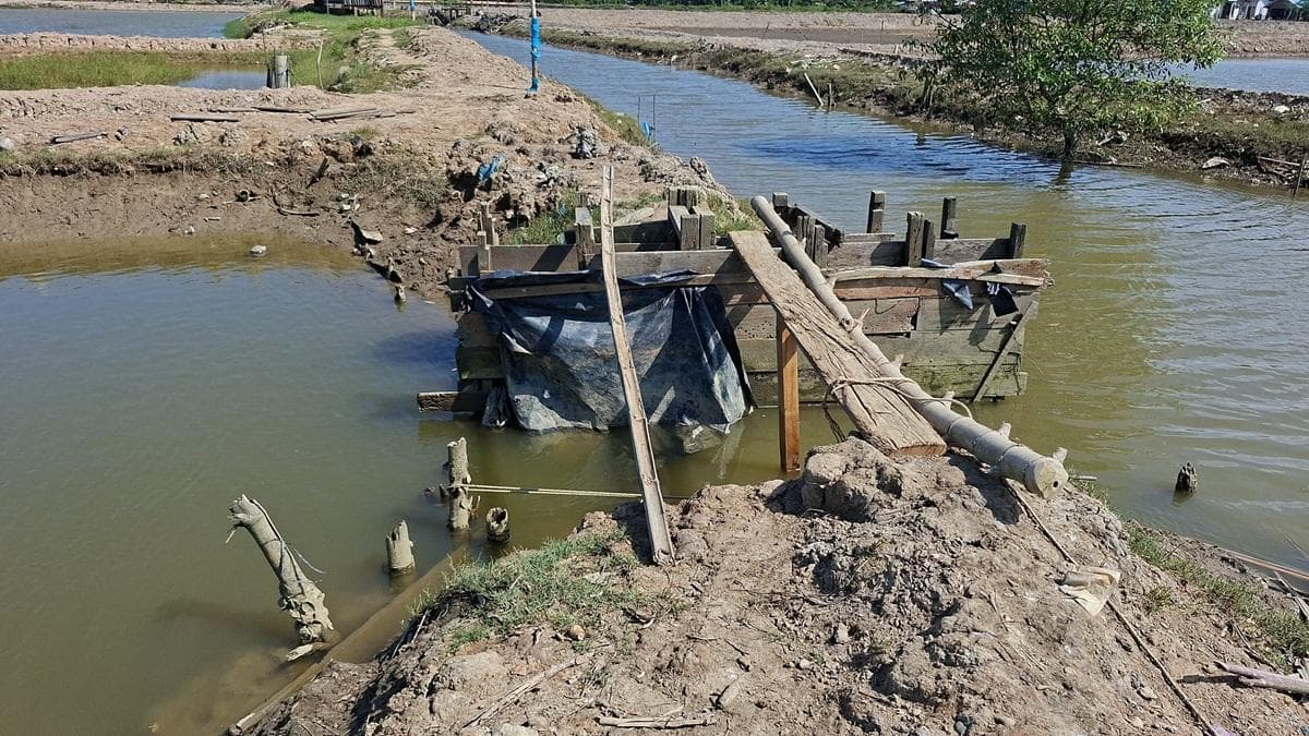 6,7 Ribu Hektare Tambak Aceh Timur Rusak Banjir, Kerugian Rp2,5 Miliar