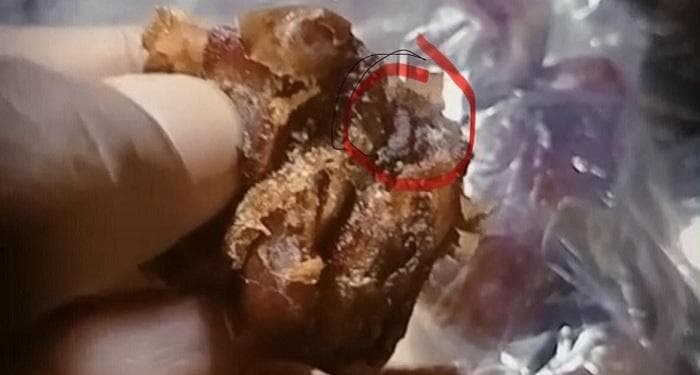 Wali Murid Aceh Jaya Temukan Ulat dalam Menu MBG, Tuntut Penjelasan