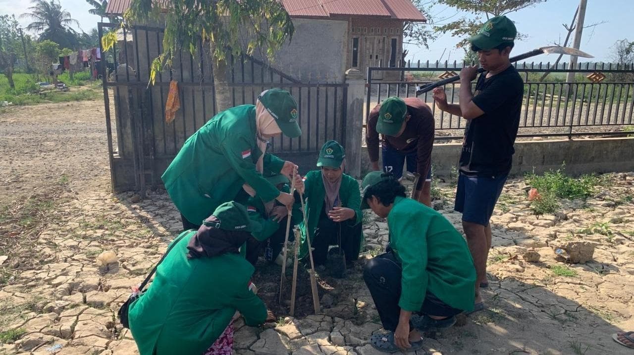 Mahasiswa Unimal dan DLHK Hijaukan Pulo Seukee Pascabanjir dengan 100 Bibit Pohon