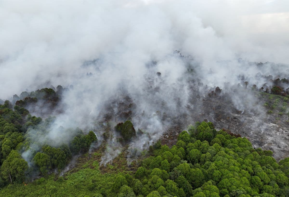 Sekolah SD Suak Raya Libur Akibat Kabut Asap Lahan Terbakar di Aceh Barat