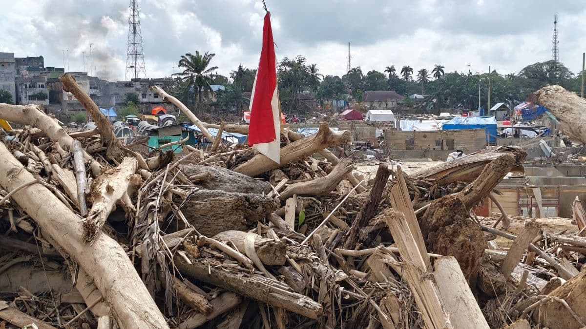 Bupati Aceh Tamiang Minta Payung Hukum Terkait Status Gelondongan Kayu Terbawa Banjir