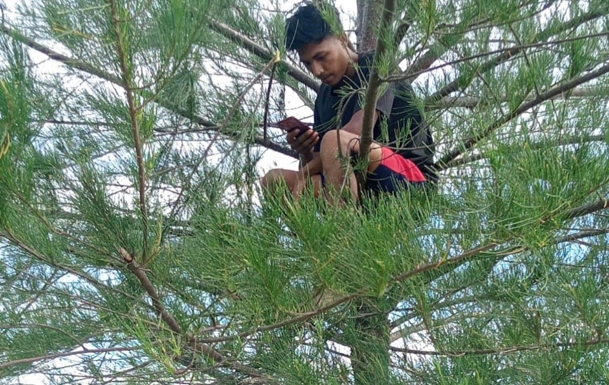 Warga Aceh Selatan Masih Cari Sinyal di Atas Pohon di Tahun 2026