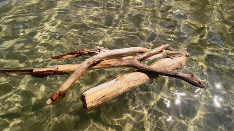 Kebijakan Kayu Hanyut Aceh: Antara Pemulihan dan Kecurigaan Negara