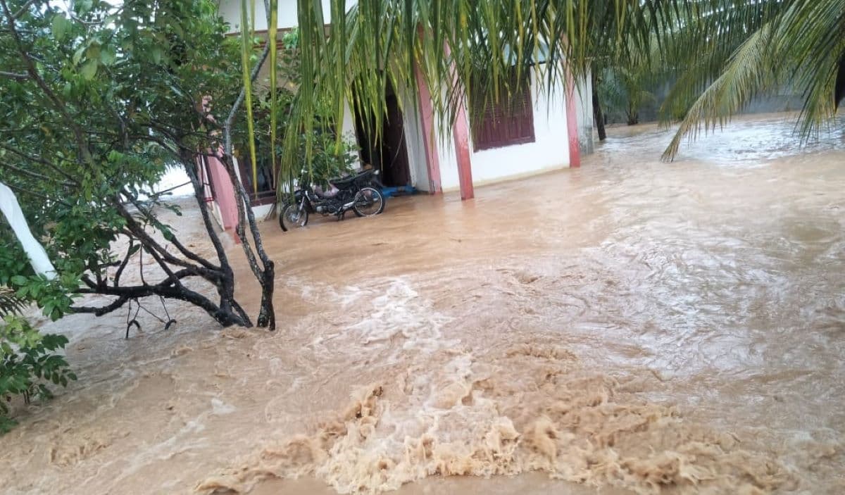 Banjir di Abdya: Enam Gampong Terendam, Sawah dan Ternak Warga Hanyut