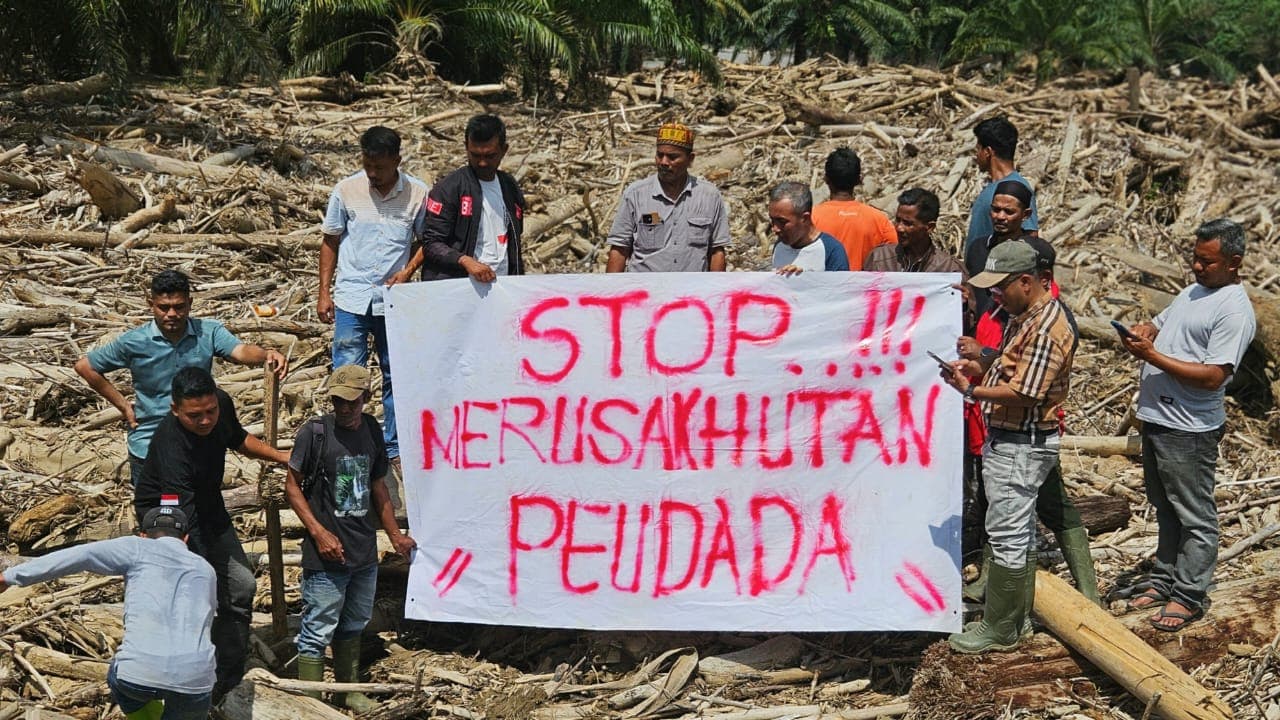 Tokoh Peudada Berdiri di Atas Ribuan Kayu Bekas Banjir, Hutan Aceh Kritis