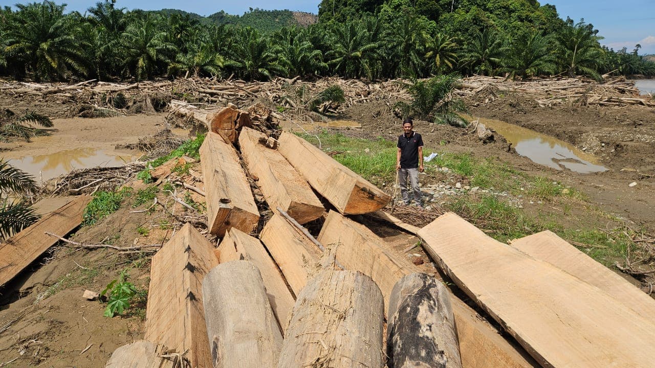 Kayu Banjir Peudada Digergaji Sebelum Ada Kejelasan Hukum, Warga Pertanyakan Tujuannya