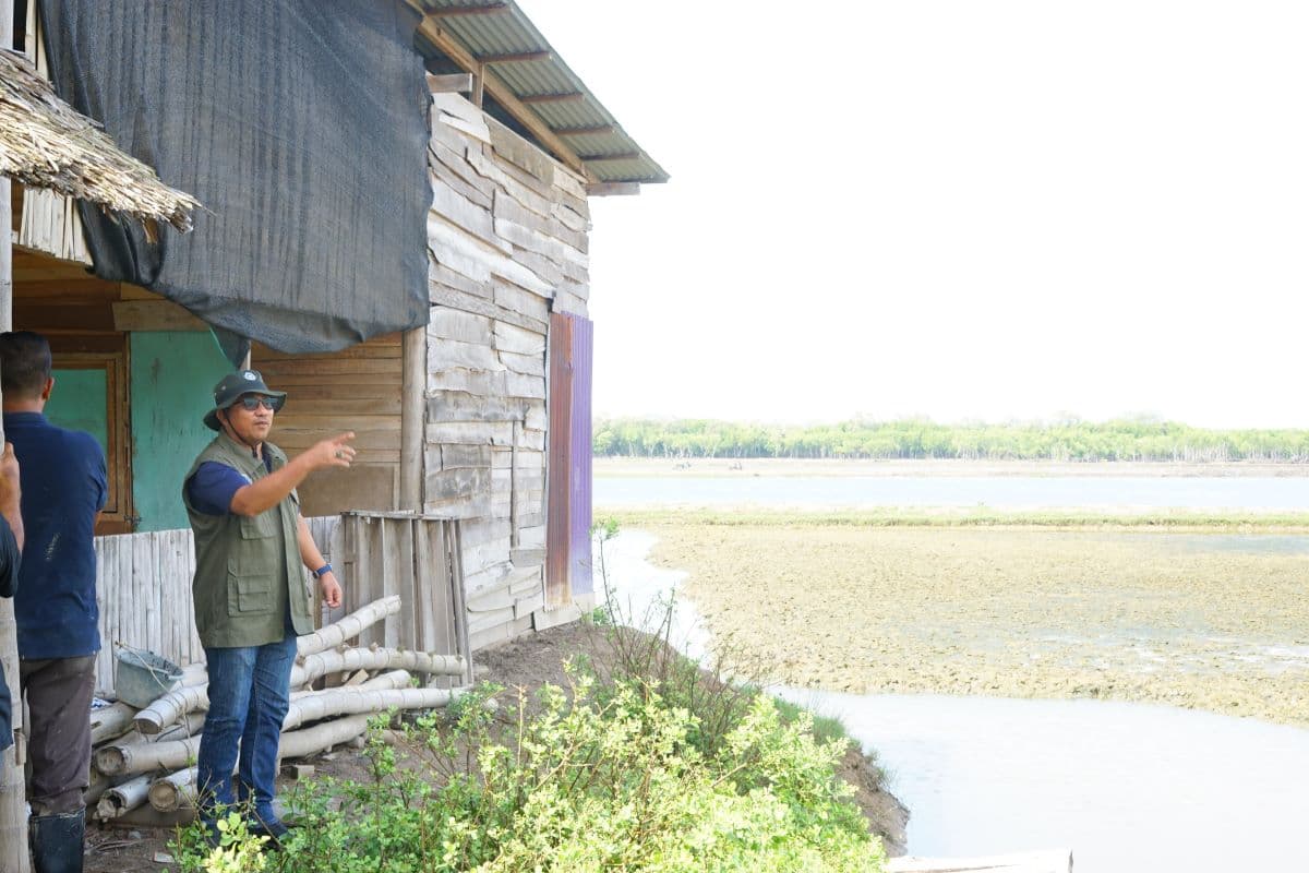 1.794 Hektar Tambak di Pidie Rusak Akibat Banjir, Ribuan Keluarga Terancam